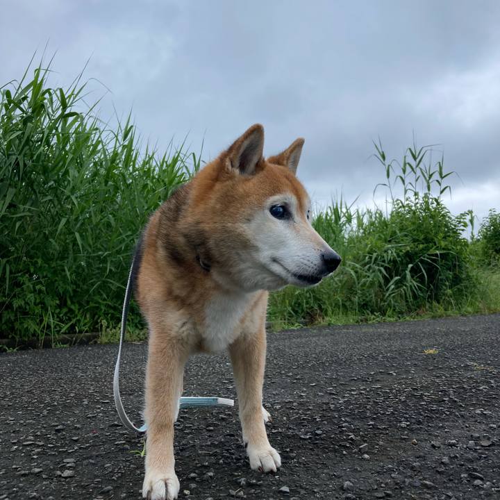 74da22d3 2248 4a04 80b4 e932f95c69ca 1748146639137