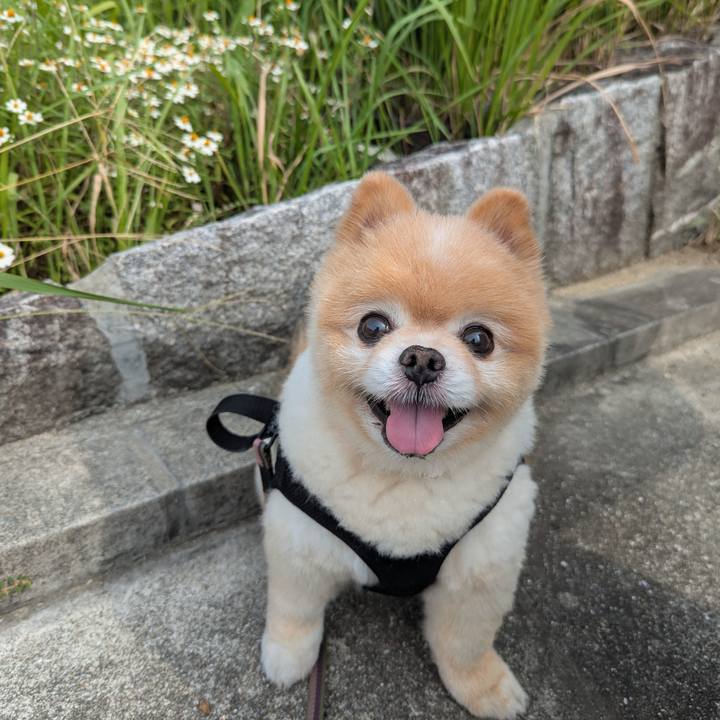 74da3f4e 4e91 4f0f 9615 52d528e0fb1f 1758512411227