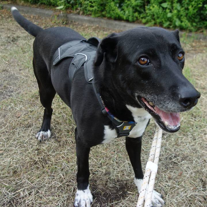 74da6fb4 a4d4 4129 a914 87064bd9a2ff 1652229727279