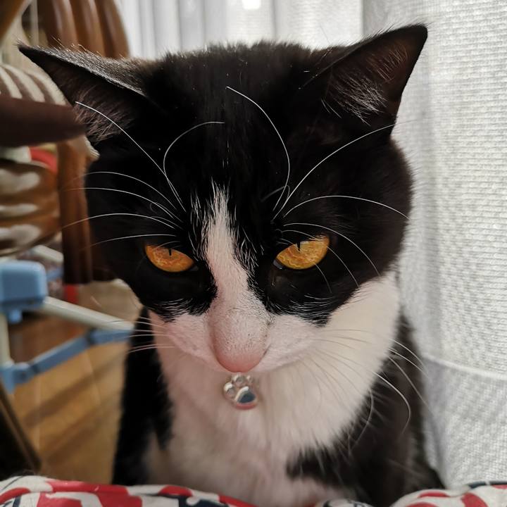 74da96cc 820a 42af 9024 885c9c4af7bc 1583722199498