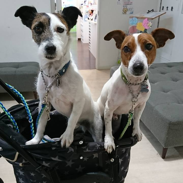 74db0acc 5817 4661 b15d f00417c915ab 1611984350400