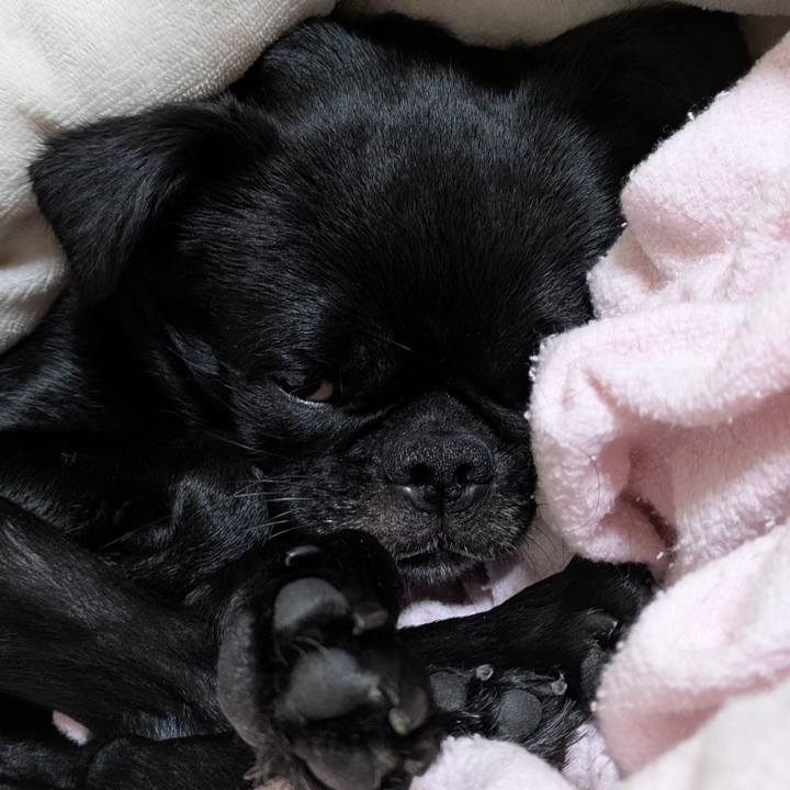 74db2b23 738d 4be9 9001 f65ff7e215ff 1762784953380