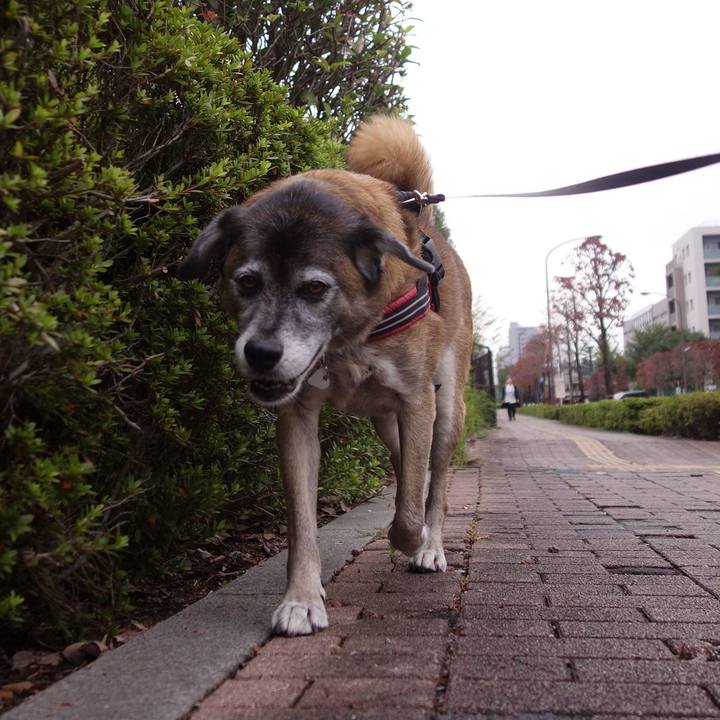 74db3931 6721 4498 9e15 f92a05ac1672 1539562797182