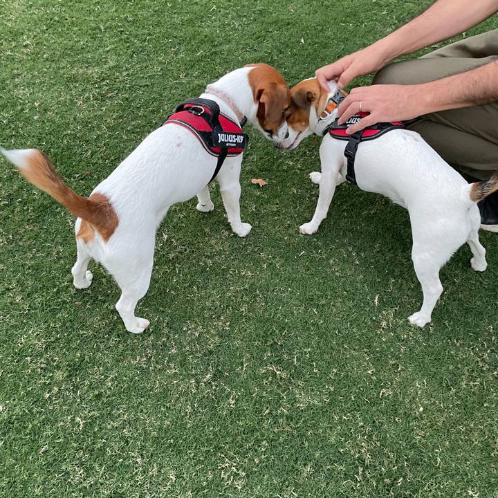 74db4d71 f828 4a60 a89f 5923291fb496 1698493947799