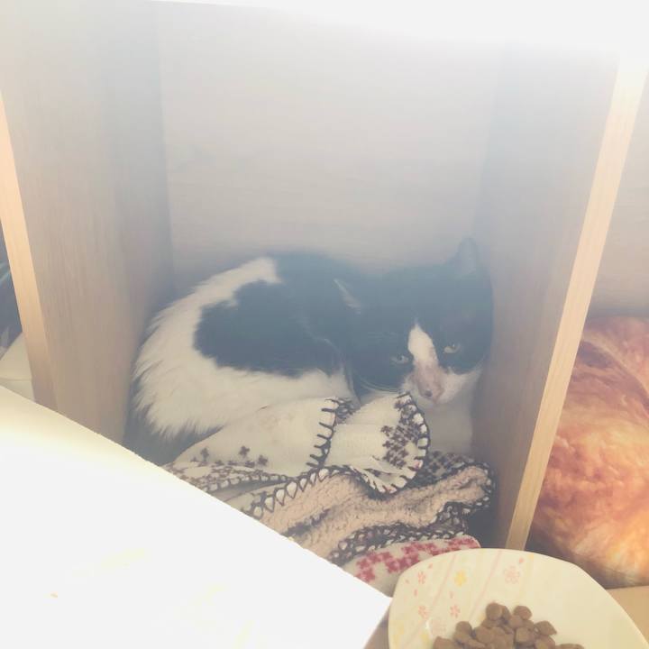 74db5932 40b9 41c6 bc5d 6618214e406f 1618071597306