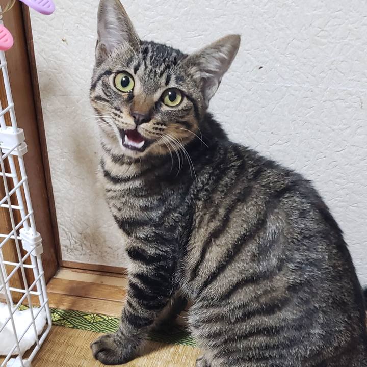 74db86bb c04a 4d12 9e93 d6deaf5c7fee 1543176288965