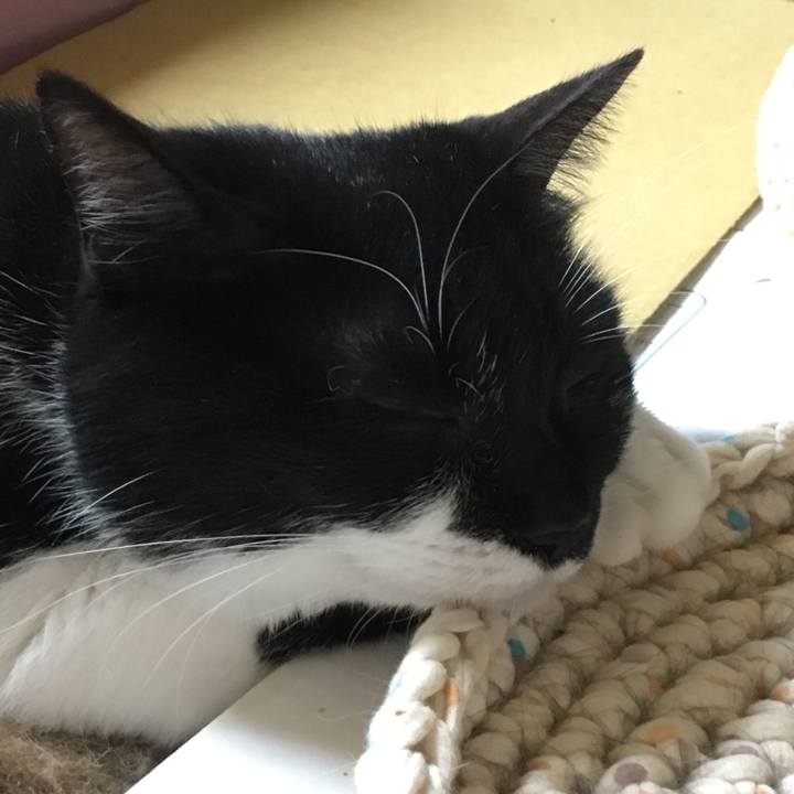 74dbb57a 652b 43c6 a4bd 3ccc94618e49 1527414561267