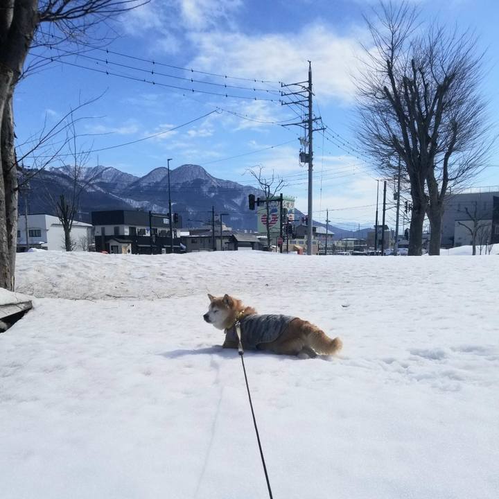 74dbd873 fef9 4d2b bfef 89a84dfc3373 1677558949633