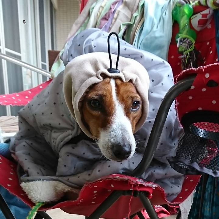 74dc04f1 e7fe 48d5 898f a13aa6760c39 1602237027025