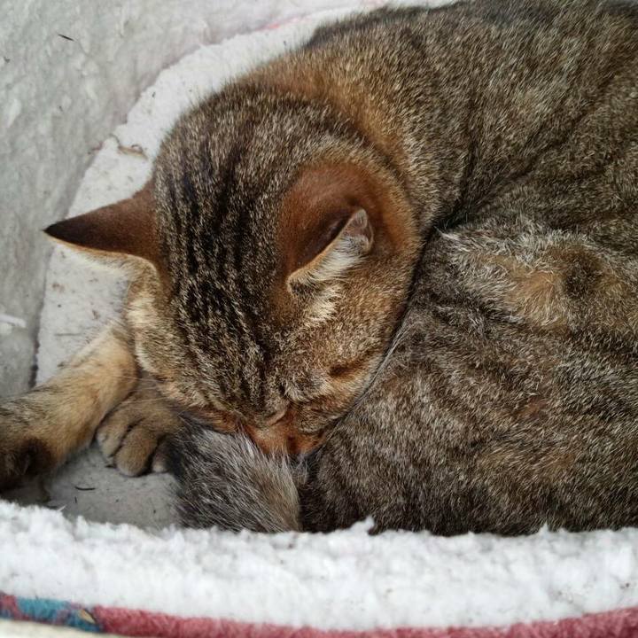 74dc43ea ba4c 4596 8a66 1206d080a430 1517929103092