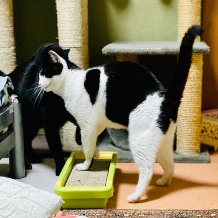 74dc5ed0 1414 4be9 b203 a8307cf10d48 1611541274991