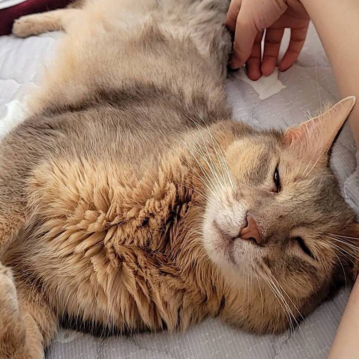 74dc96b5 3c3a 42ae b544 de6e5e4c20c3 1691990248061