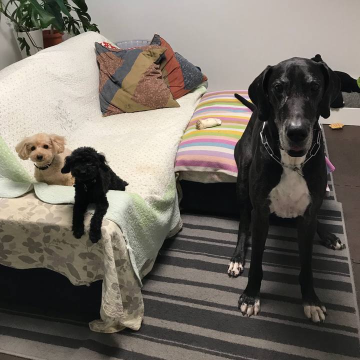 74dccf50 34e5 45c8 b6e0 55ecbe8f9755 1531263022109