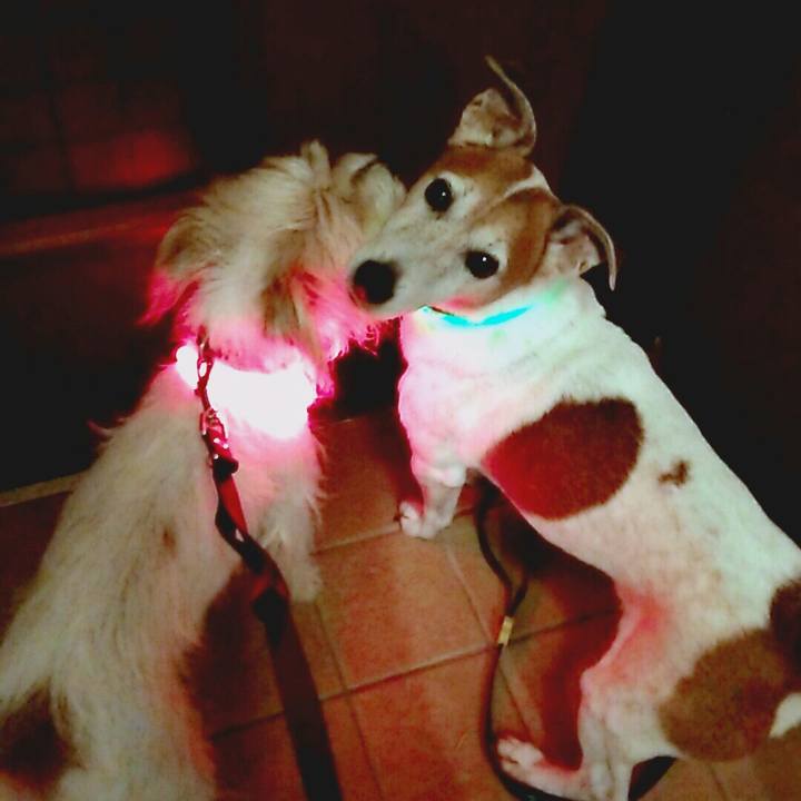 74dd0e69 13c1 485f bea3 09e73070cf1a 1516797373948