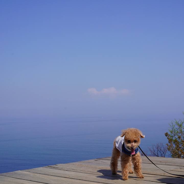 74dd115e 1a26 4498 93e4 5431fb0806e2 1699880355693