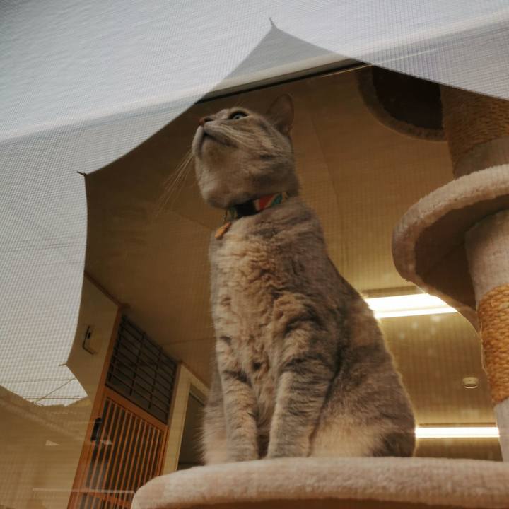 74dd3f75 5d07 46c2 bf0d 1ddd646cc9af 1621828718736