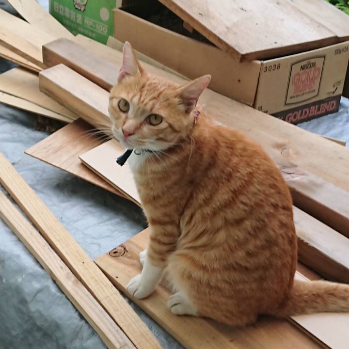 74dd6fa5 840e 44b9 95d0 4216103203a7 1564208353631