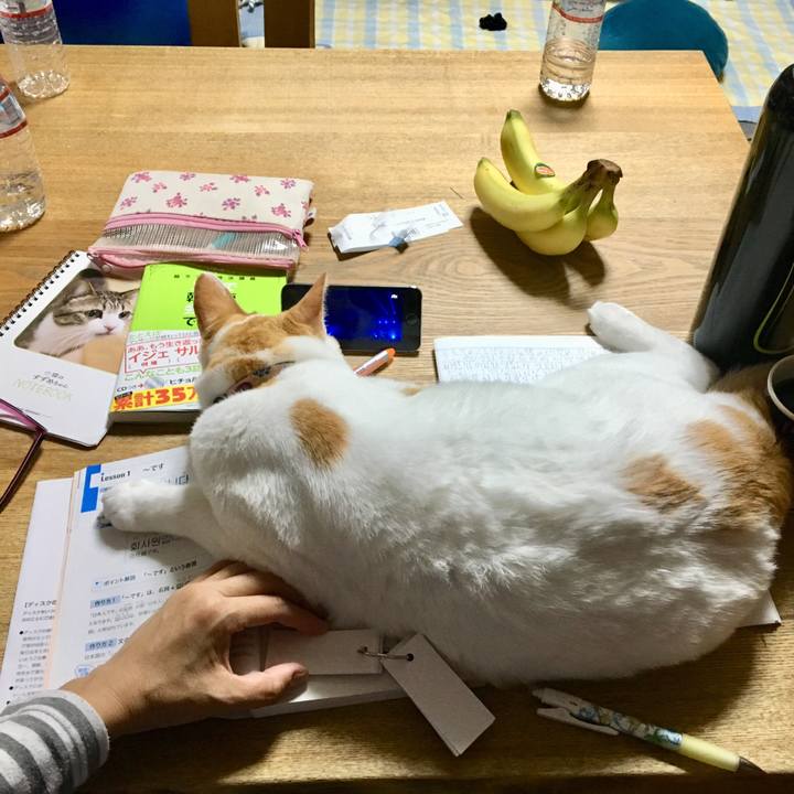 74dd7ffe ff08 44ce bfc5 ffe912487844 1538662899725