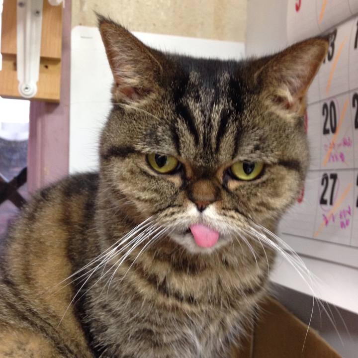 74dda2ce 7bf4 4314 97c0 fb639878079c 1510106520501