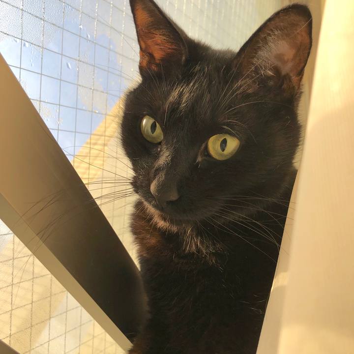 74dda8d1 b90d 4b08 b618 8aa391f62a37 1550797009482