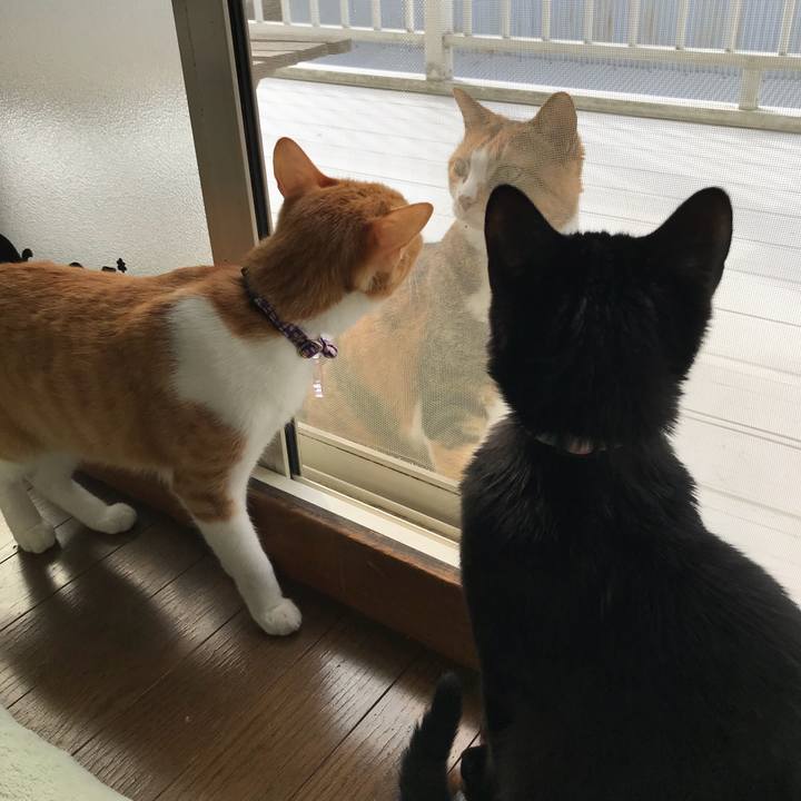 74dddc25 c104 4846 9834 dcaac08bc463 1520168979630