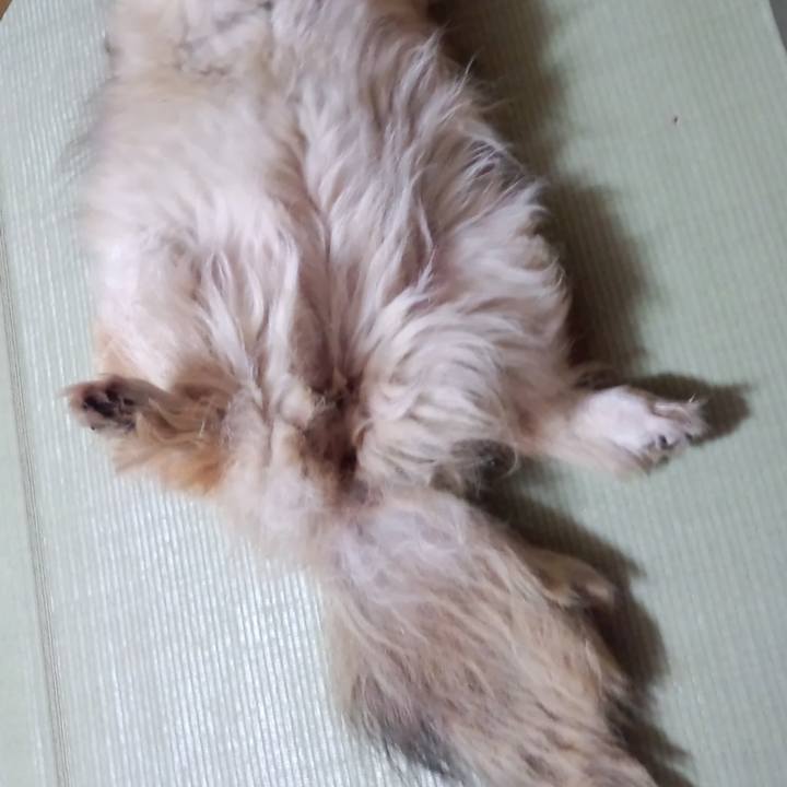 74dddc4b 68dd 4eda 8b56 263715f03589 1604477915184