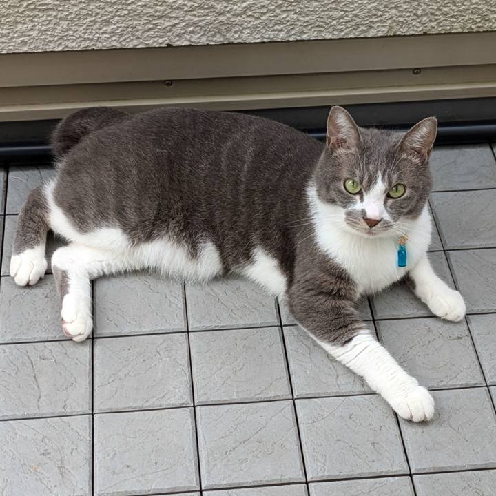 74de0f9d e790 48c1 84b0 9d335c85cb9b 1729128890778