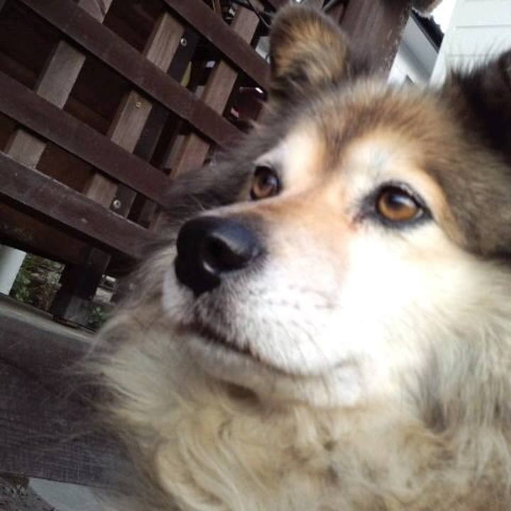 74de1320 1e9d 40a6 8cf0 14264bffa330 1603819480314