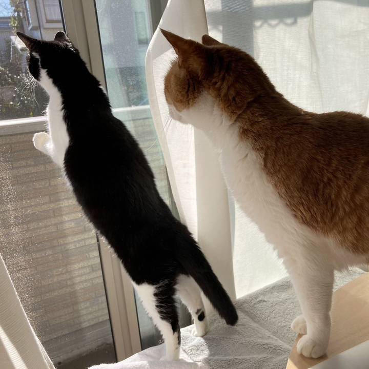 74de19b1 309c 447e 98c2 32217d5fa4fd 1673787841942