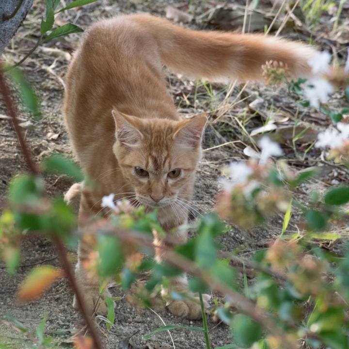 74de2582 ae4e 4d47 8faa 7514358eaa72 1537317395623