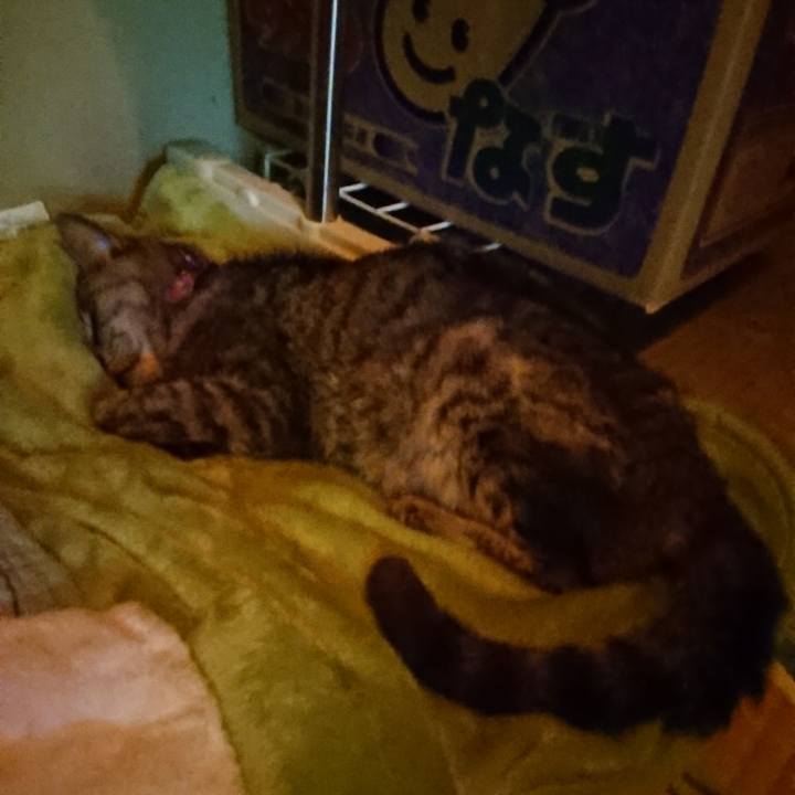 74de3bf8 86cf 4be8 91fd 3020429b9827 1596979986240