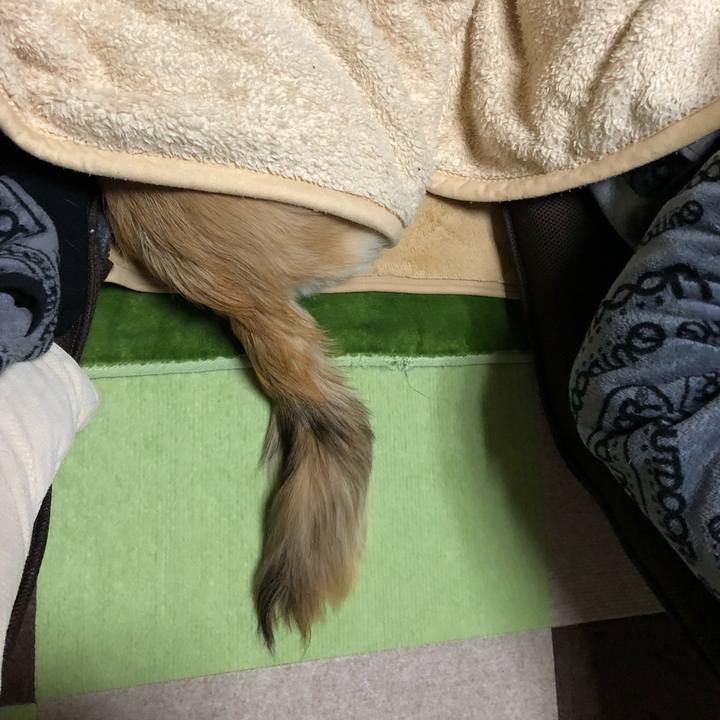 74de6fe1 2e00 4137 b997 1da1883631b7 1514969607321