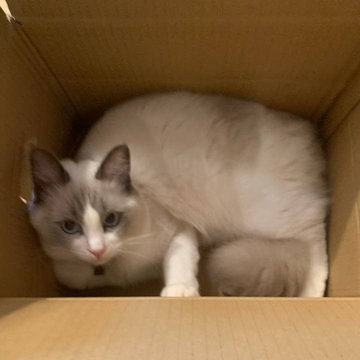 74de725f d138 4fb0 b9fa dce45b070cf1 1633076222133