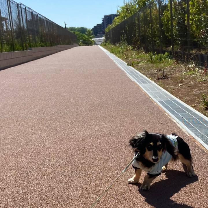 74de9898 dbb0 49eb bbf8 7f3c49d3f4d8 1682555434649