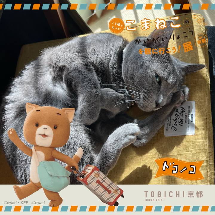 74deb0f5 77de 4b6c 8b9a 7209f491df79 1740203623443