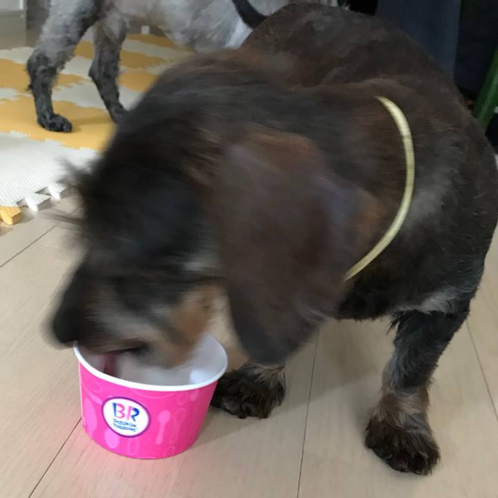 74df38d0 acd3 400e 8ee0 1b83ec8c6bb7 1525327480196