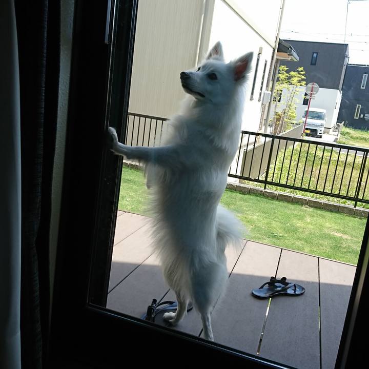 74df5503 9061 4ee6 89d9 0c8a870c973a 1526099602601