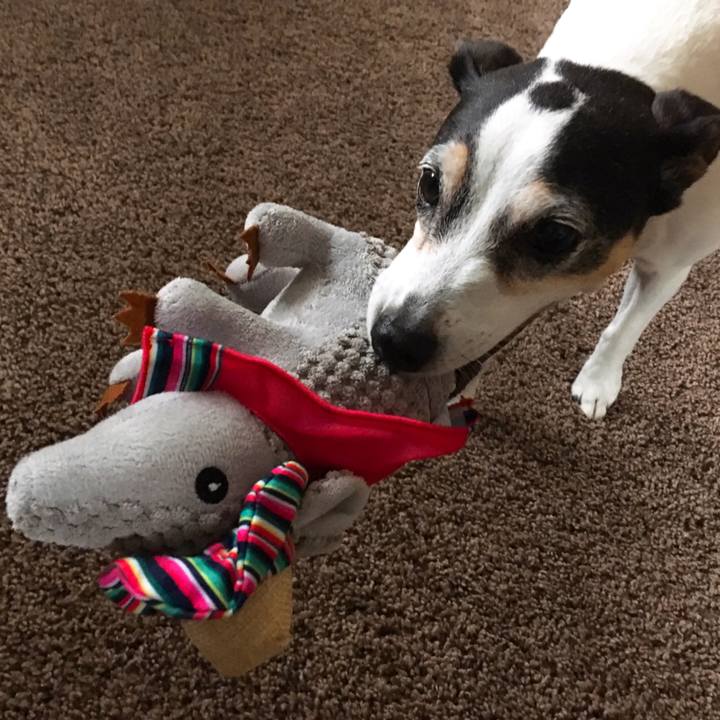 74df6d3a fc2c 468d 9001 fc098f4f9226 1554722971483