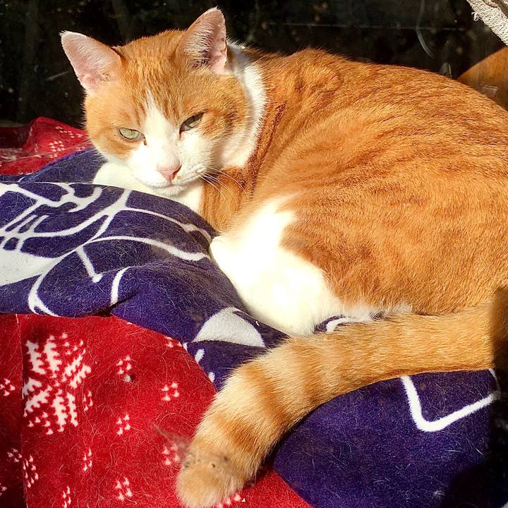 74df74e6 cd2b 4a97 af38 3be4208d051c 1579931357846