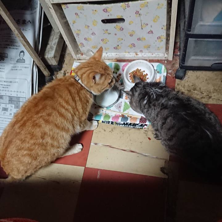 74e0034f b8db 4246 af89 8e7a10cde8a8 1589920531561