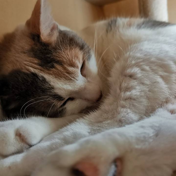 74e011f2 4880 4192 9c3b 331bd45bae60 1634358814697