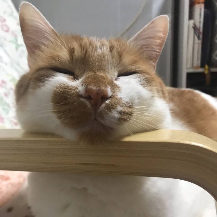 74e02034 6f14 42cc 9863 540df99dd3d6 1589067927239