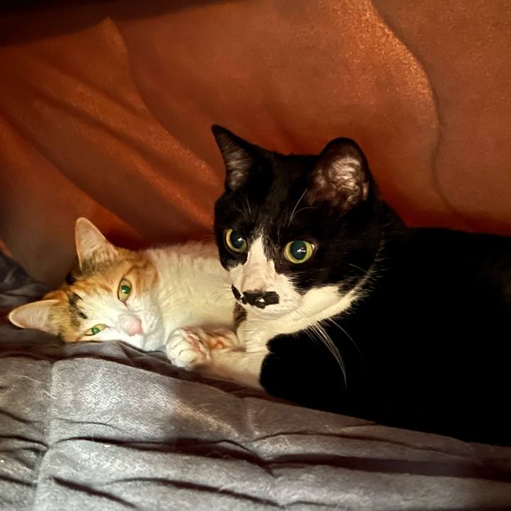 74e02fe5 fb5c 4360 b252 0de93de37db3 1773718844279