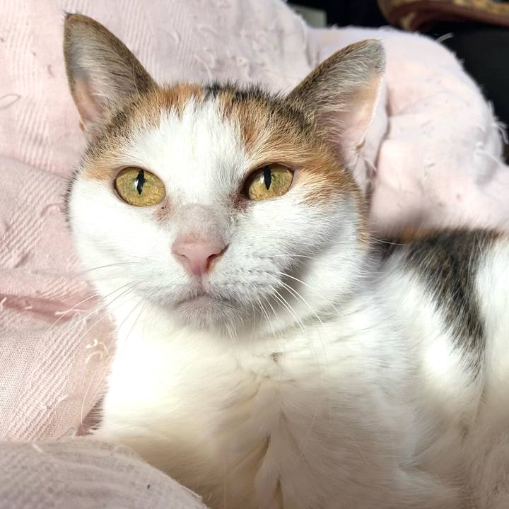 74e03500 e5ab 4298 ae2f 3021be05cc8c 1605275948361