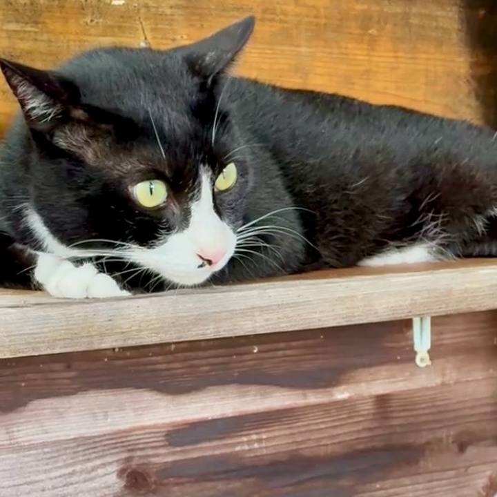 74e042f9 26f6 431c a9a3 30b92e19652e 1754465768670