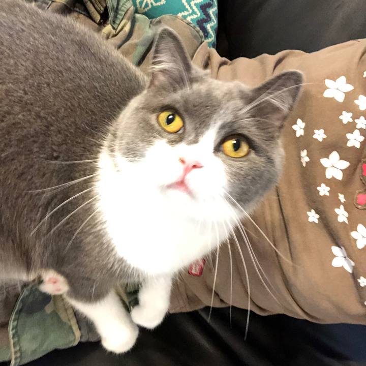 74e04a5d f303 4927 b16d d14def4d7e36 1563599356998