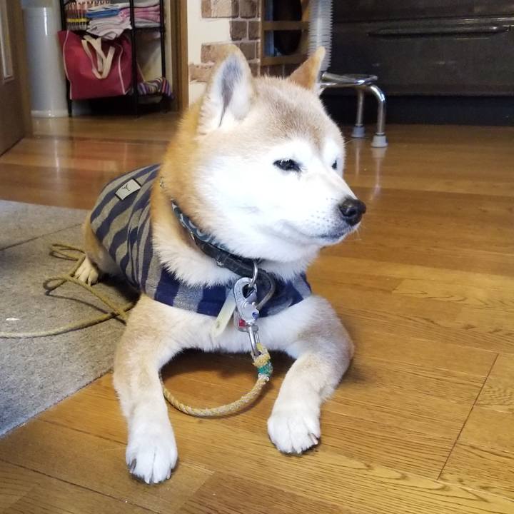 74e04b00 432e 483e 94d4 8aa67a331119 1708658703875