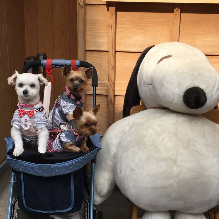 74e05b5e 9576 4e77 a7a6 78a9bae8ede8 1512015423361