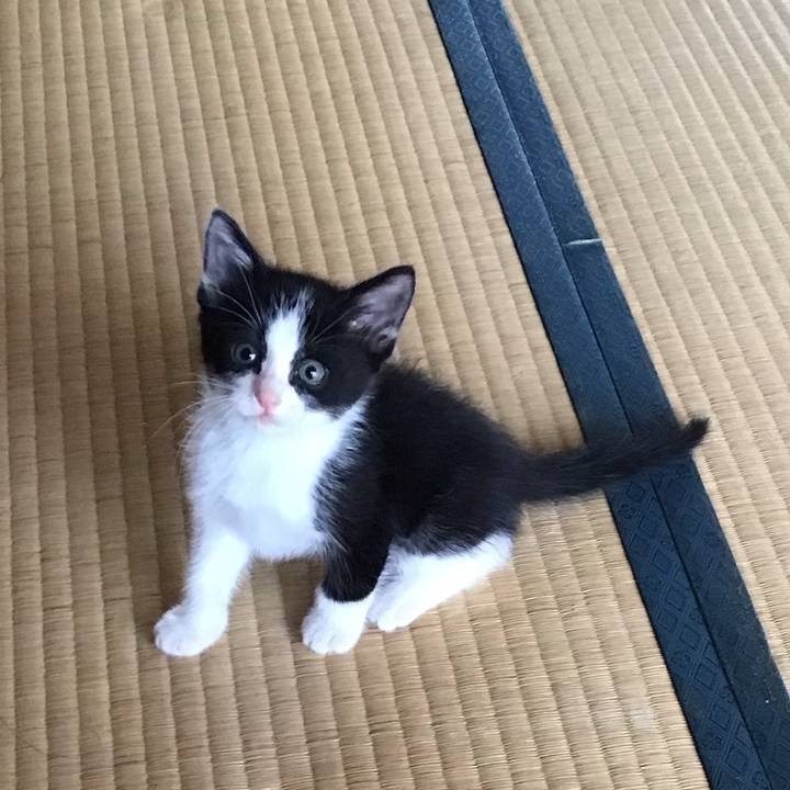 74e05b6a 8500 4eb2 bc9c 9e91f1cf3b9c 1623136210555