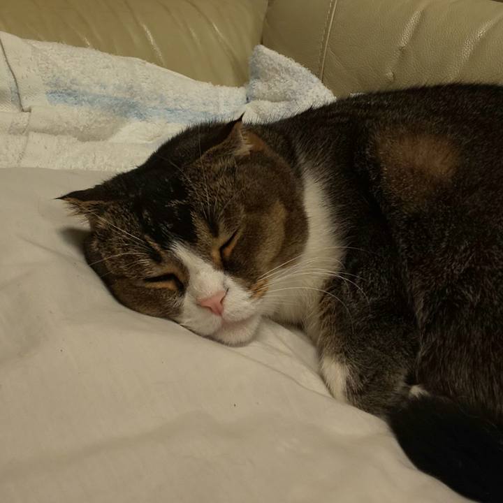 74e0635e 1fc6 42a8 809a 903634916172 1578663825553